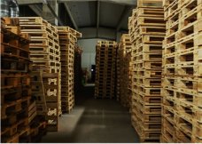 coleta-pallets.jpg